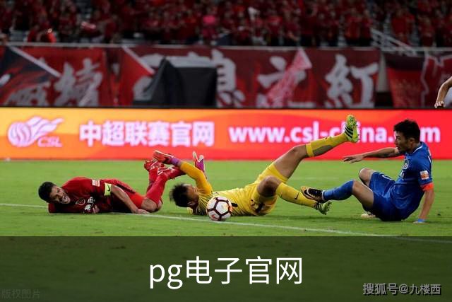 专业pg电子官网平台